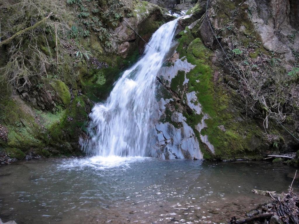 הוסטל Ogassa Mas Rural El Negre מראה חיצוני תמונה